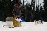 dog sled