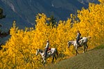 trail riding