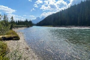 The bow river and views of the rocky mountains from larch island interpretive trail