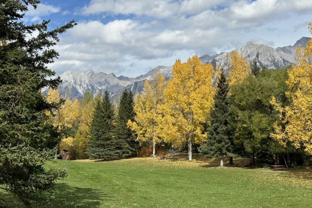 Fall trees at riverside park against a mountain backdrop from the bow river loop trail canmore