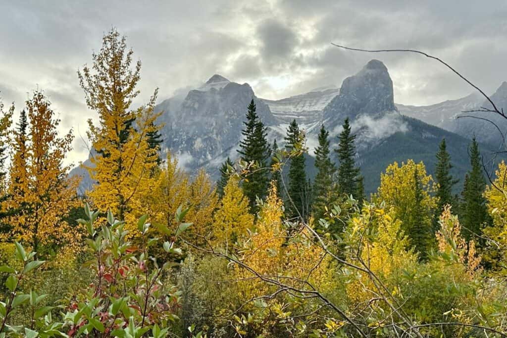 Fall foliage against a backdrop of dramatic rocky mountains living in canmore alberta