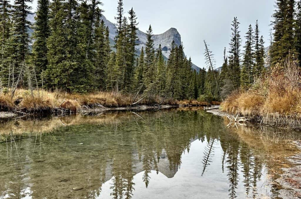 Ha ling peak reflected in a pond taken from three sisters viewpoint canmore alberta