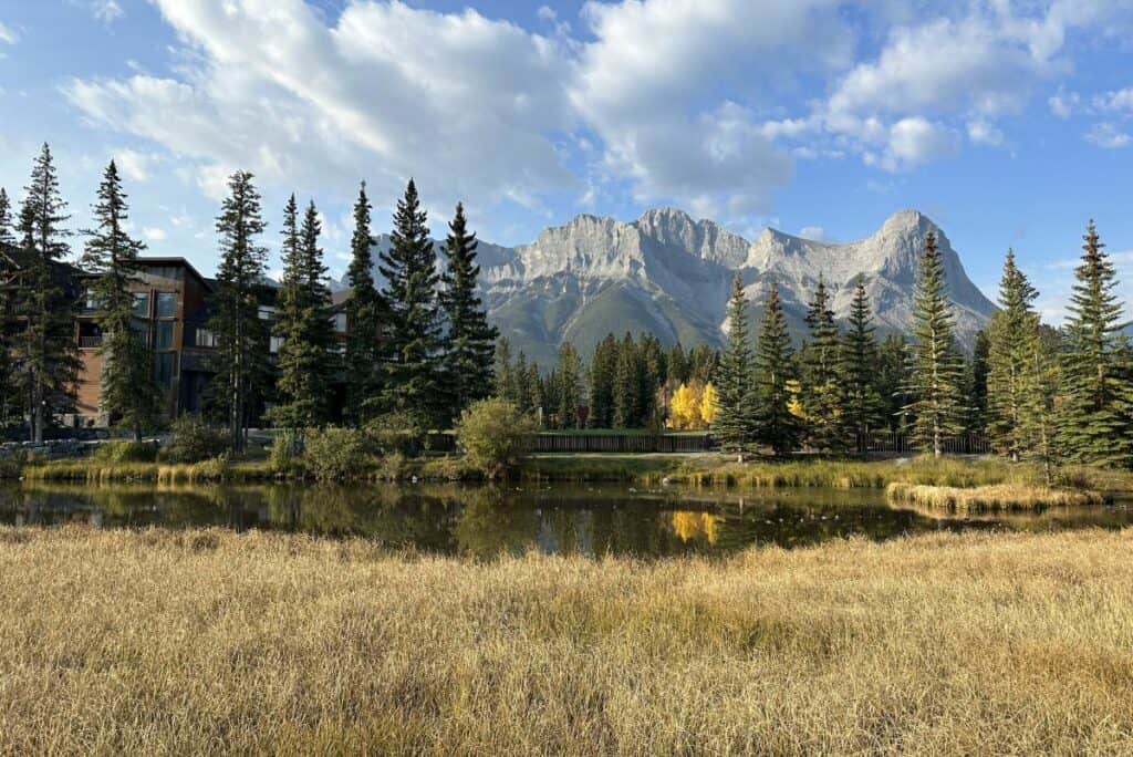 Spring creek on a sunny fall day on policeman's creek trail canmore alberta with rocky mountains in the background
