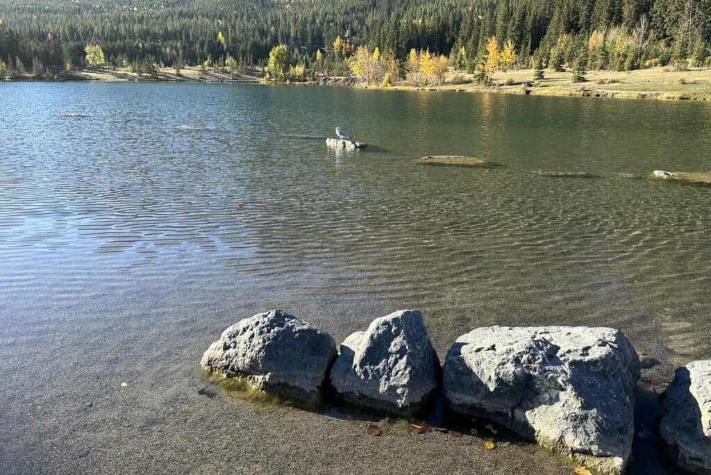 In the pristine water rocks identify the shallow area for children at quarry lake canmore