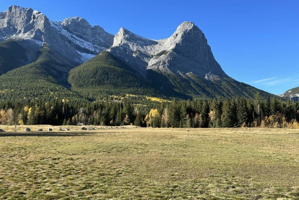 The off-leash dog park at quarry lake canmore alberta with ha ling peak in the background