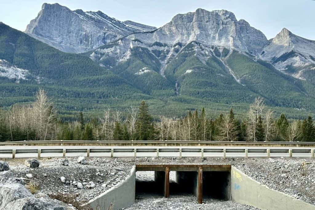 Highway 1a road bridge leading to the three sisters viewpoint canmore alberta