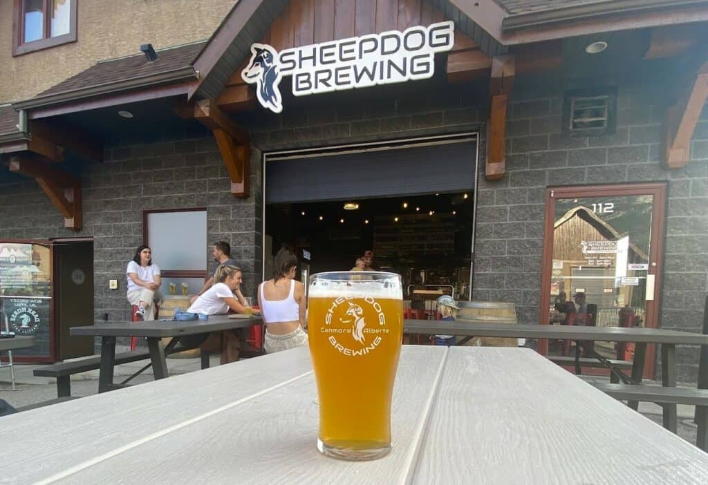 A glass of beer sits on a table on the outdoor patio of sheepdog brewing one of the popular breweries in canmore alberta