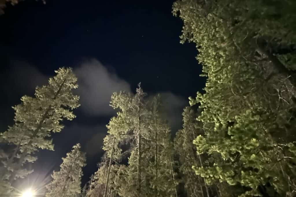 Trees are lit up by the moon on a starry night over quarry lake canmore alberta