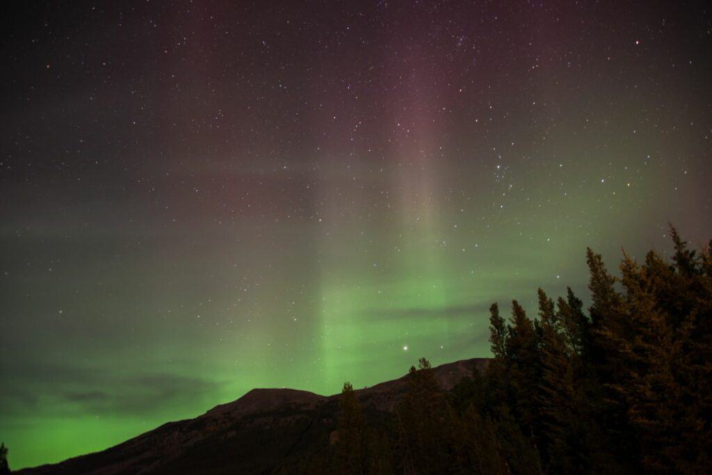 Northern lights in canmore things to do in canmore at night