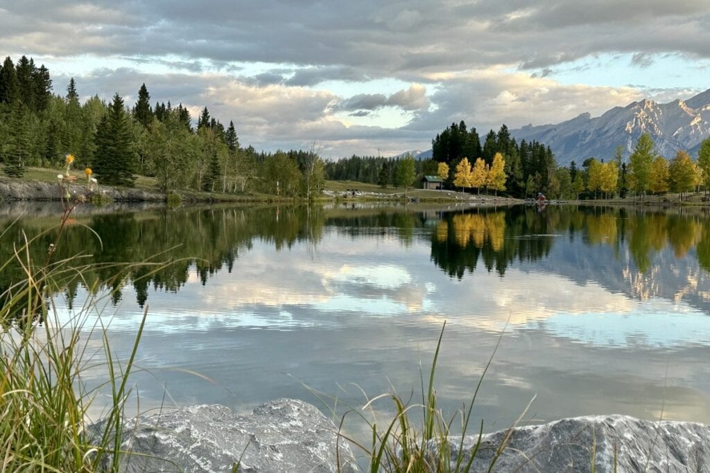 Fall trees under a blue sky are reflected in quarry lake loop canmore