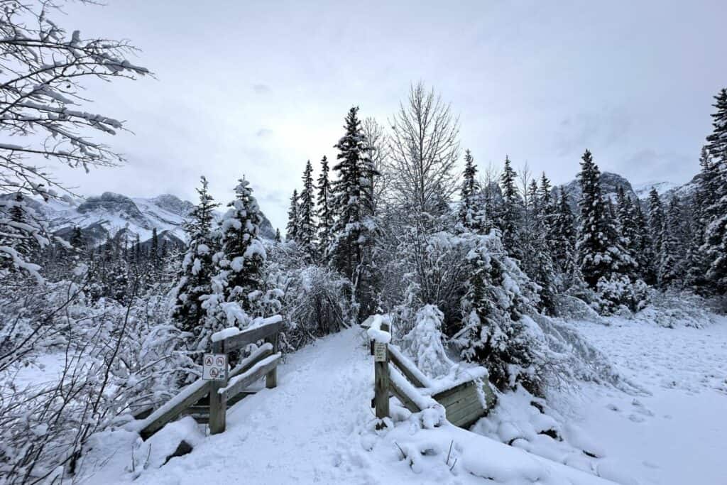 Snowy day at the bridge entrance to larch island interpetive trail canmore alberta