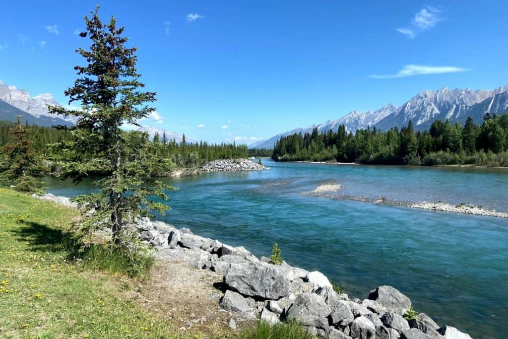 A sunny day on the bow river loop living in canmore alberta