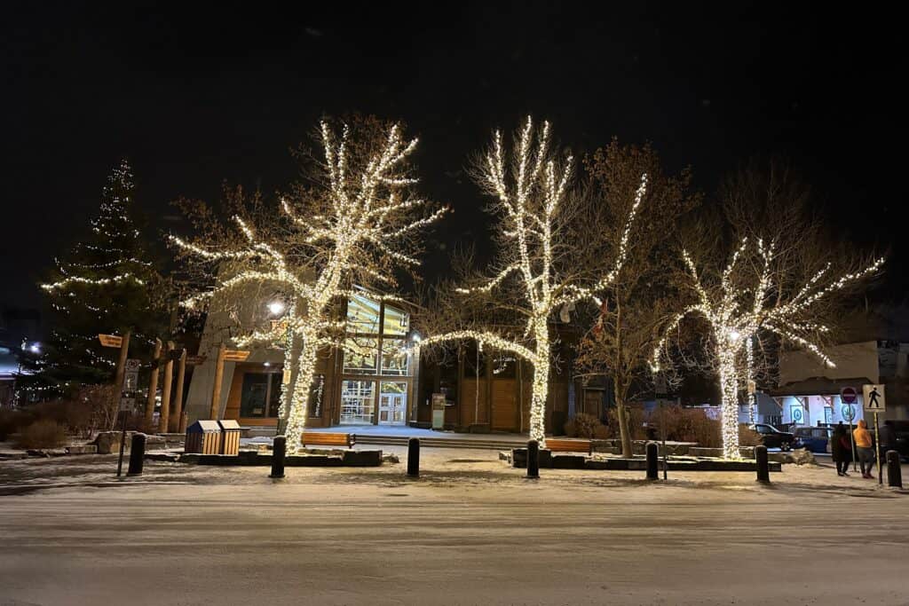 Christmas lights on trees downtown living in canmore alberta